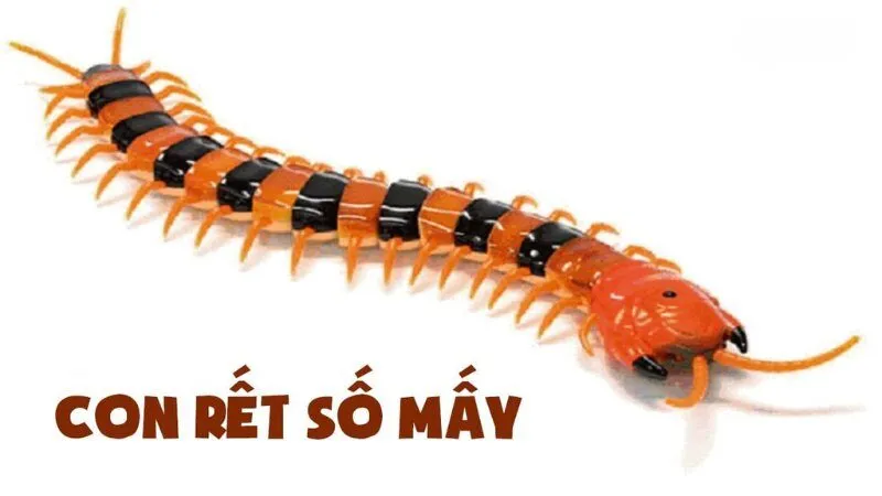 Bộ số tài lộc chuẩn theo sổ mơ 2026