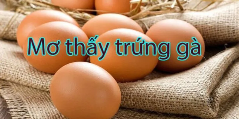 Giải mã ý nghĩa giấc mơ thấy quả trứng