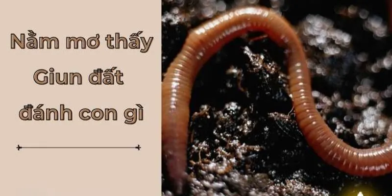 Lợi ích khi giải mã giấc mơ thấy giun sán đánh con gì