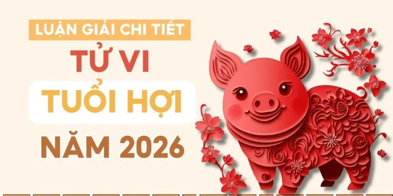 Luận giải tử vi tuổi Hợi 2026 theo từng năm sinh