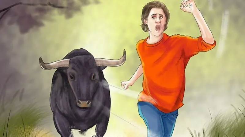 Mơ thấy bị bò đuổi theo