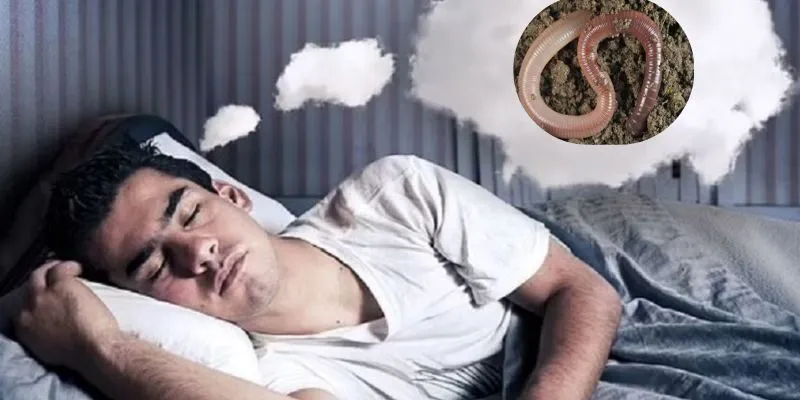 Mơ Thấy Giun Sán Đánh Con Gì? Điềm Báo Tốt Hay Xấu