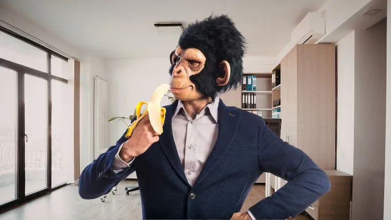 Mơ thấy mình hóa thành khỉ