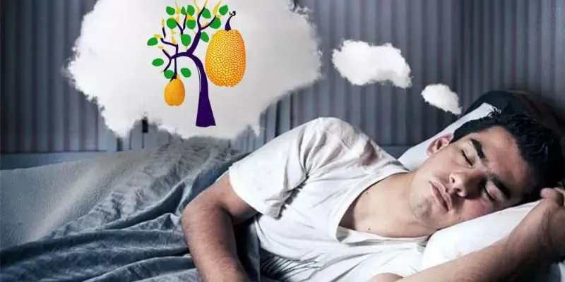 Mơ Thấy Mít Chín Đánh Con Gì? Giải Mã Điềm Báo Tìm Ẩn