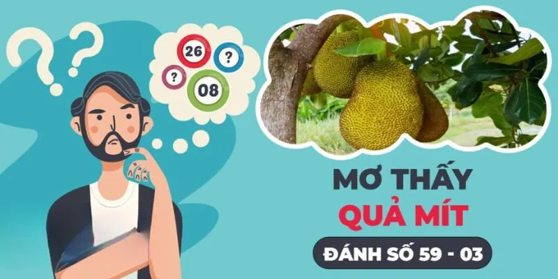 Mơ thấy mít chín là tốt hay xấu