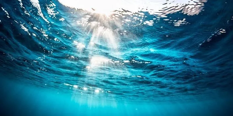 Mơ thấy nước đánh con gì? Phân tích theo từng tình huống