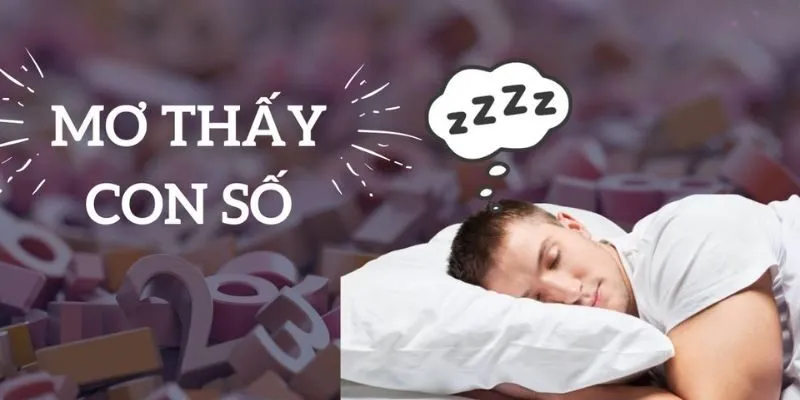 Mơ Thấy Rụng Răng Đánh Con Gì? Điềm Báo Tốt Hay Xấu