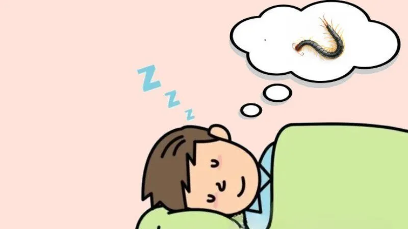 Nằm mơ thấy rết là điềm báo gì?