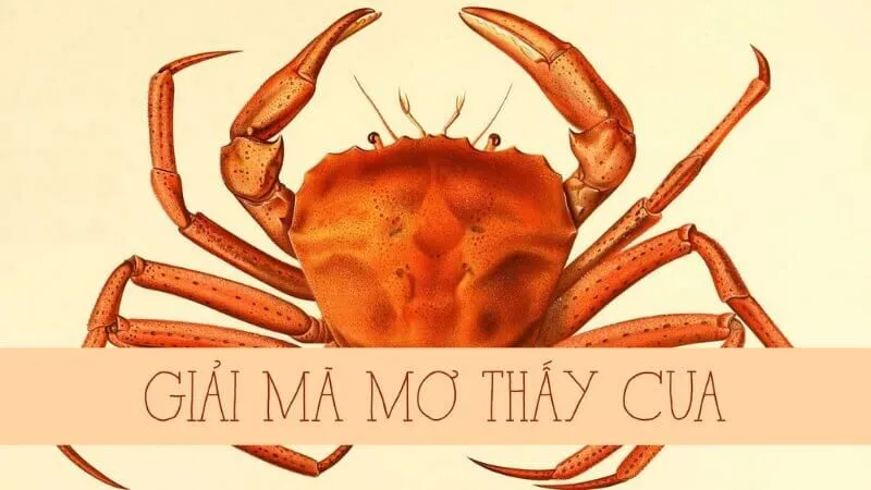 Giải Mã Mơ Thấy Cua Đánh Con Gì Để Trúng Lớn