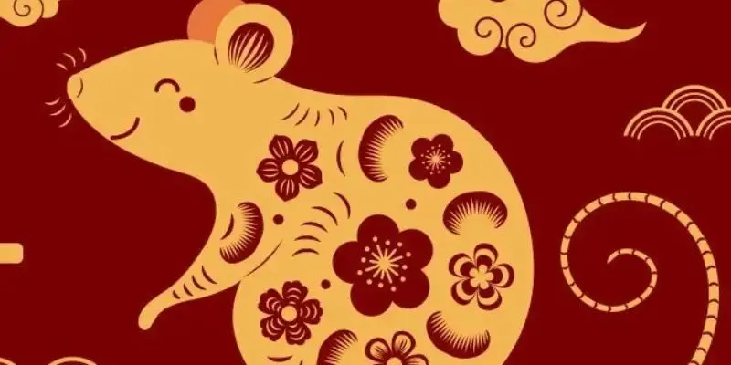 Phân tích chi tiết tử vi tuổi Tý 2026 theo từng phương diện