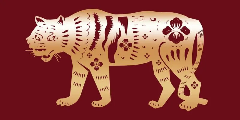 Tử Vi Tuổi Dần 2026: Bứt Phá Sự Nghiệp Và Tăng Trưởng