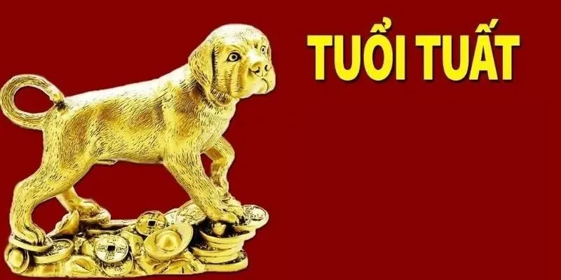 Tử vi tuổi Tuất 2026 theo từng năm sinh