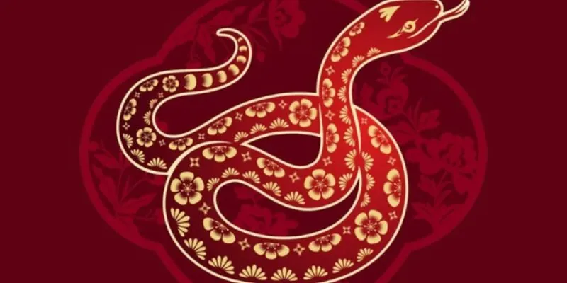 Tử vi tuổi Tỵ 2026 nữ mạng: Toàn cảnh vận mệnh, công danh, tài lộc, tình duyên