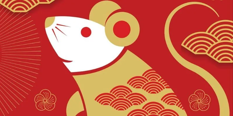 Tử Vi Tuổi Tý 2026: Một Năm Biến Động Và Điều Cần Chuẩn Bị