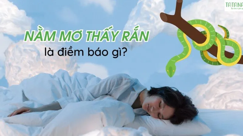 Ý nghĩa chung khi mơ thấy rắn