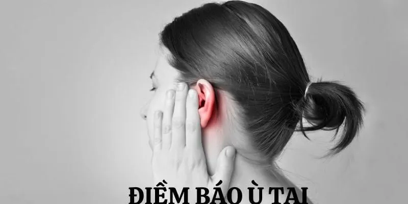 Các nguyên nhân điển hình gây ra tình trạng ù tai