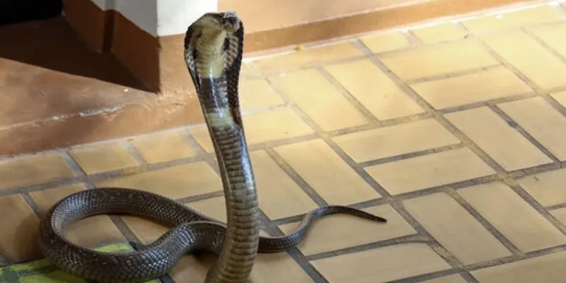 Các trường hợp phong thủy thường được nhắc đến