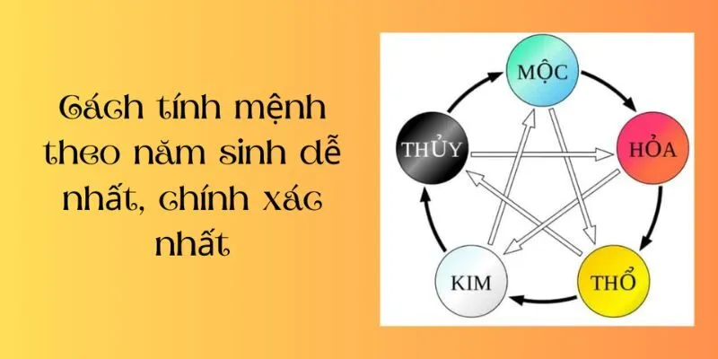 Cung mệnh là gì? Tại sao nên xem mệnh ngũ hành