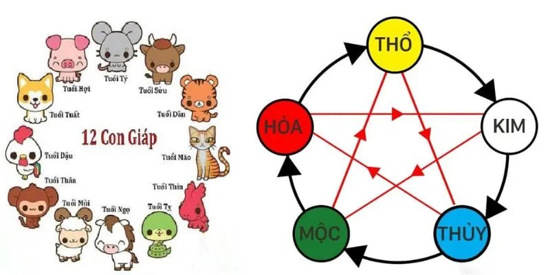 Giải mã vai trò và các yếu tố xác định cung mệnh