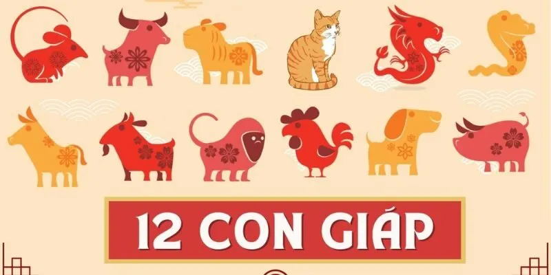 Màu sắc và con số may mắn của 12 con giáp