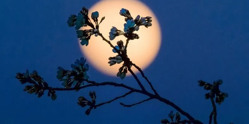 Ý nghĩa ngày rằm và mùng một theo quan niệm dân gian